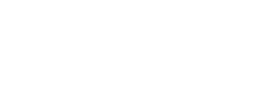Beige Systems Institute Logo