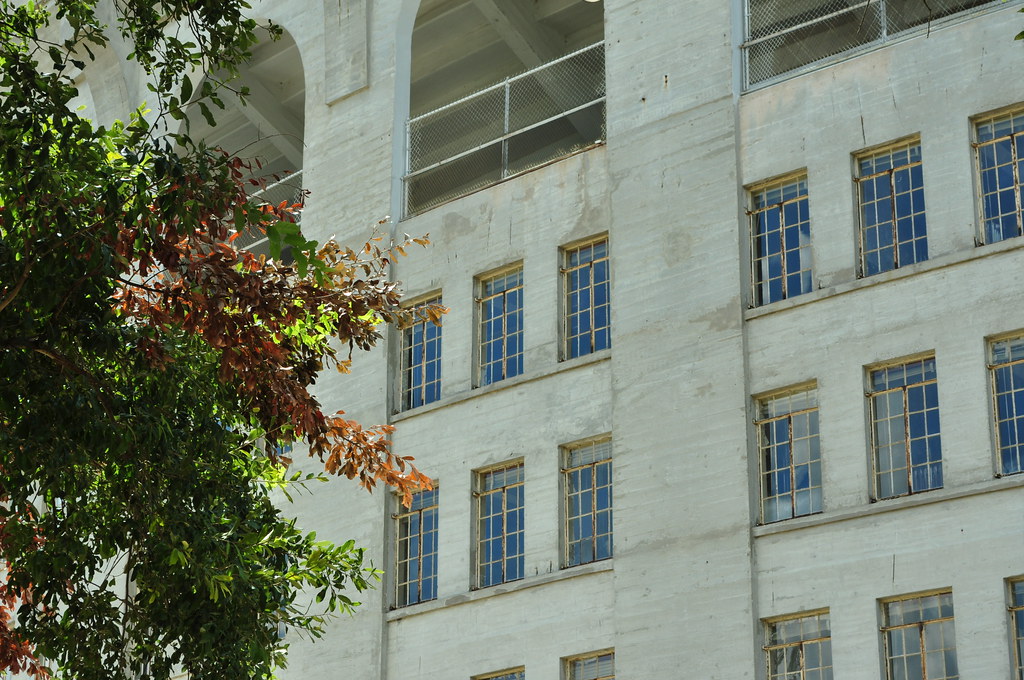 Tiger Stadium at Louisiana State University